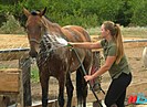 Чего нельзя делать волгоградцам 15 августа, чтобы удача не обошла стороной