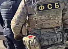 ФСБ сняла на видео задержание участников нападения на десантников в Волгограде и на Кавказе