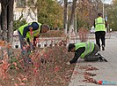 Волгоградцам рассказали, как выжить во время мощной магнитной бури