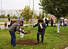 В парке «Солнечный» жители Волжского высадили 100 деревьев и кустарников