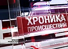 Житель Волгоградской области незаконно охотился на зайцев и косуль