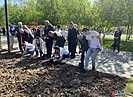 У подножия Мамаева кургана в Волгограде высадили донецкие розы