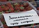 Волгоградцам рассказали о преимуществах российской клубники