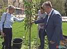 3,5-метровые сакуры украсили Аллею Героев в Волгограде