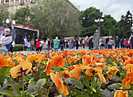 Волгоградцы отмечают 80-летие Победы на Центральной набережной