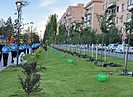 Участники Ассоциации Городов Поволжья высадили в Волгограде аллею сакур