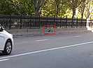 Житель Волгограда заснял схватку вороны и крысы в центре города