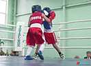 Волгоградец Борщев встретится с американцем Маккинни на UFC в Лас-Вегасе